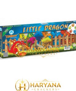 Little Dragon