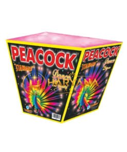 Peacock Dance