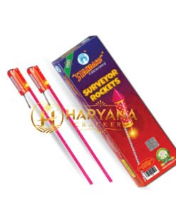 Surveyor Rockets
