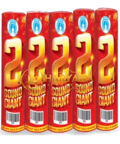Two Sound Giant